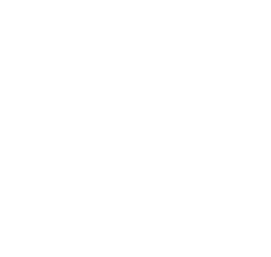 Handel. Lokal. Digital
